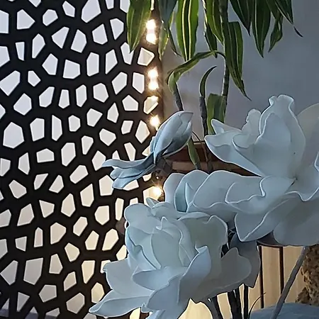 Imadnivalo Kislakas Apartment Budapest